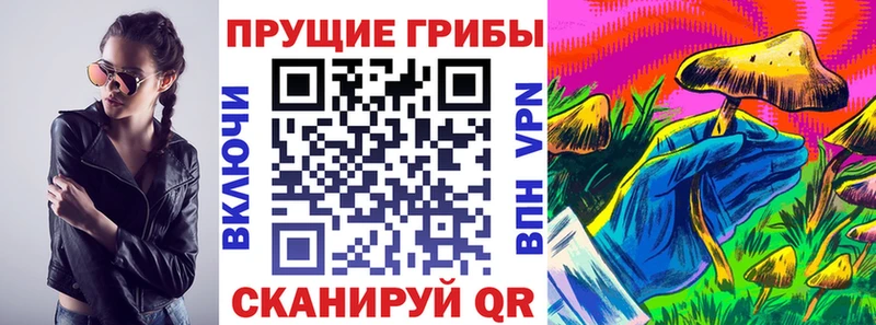 Галлюциногенные грибы Psilocybine cubensis  Братск 